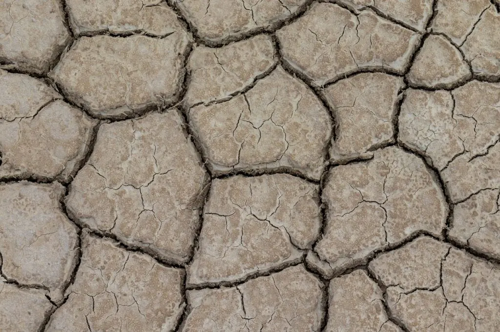 découvrez l'impact de la sécheresse sur l'environnement, l'agriculture et la société. explorez les causes de ce phénomène climatique, ses conséquences sur les ressources en eau et les solutions pour y faire face.