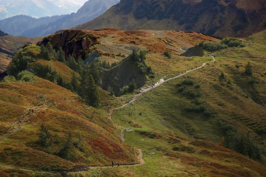 découvrez le célèbre tour de france, une prestigieuse course cycliste qui traverse les plus beaux paysages de l'hexagone et attire l'attention du monde entier.