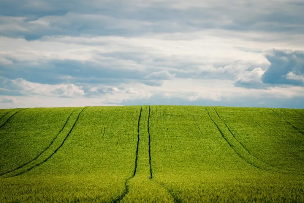 découvrez l'univers fascinant de l'agriculture, un secteur essentiel qui nourrit la planète et soutient nos économies. explorez les techniques modernes, les enjeux environnementaux et les innovations qui transforment le monde agricole. engagez-vous pour un avenir durable grâce à l'agriculture responsable.
