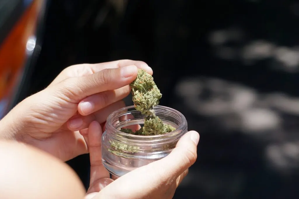 découvrez tout sur le cannabis : ses variétés, ses effets, son utilisation médicale et récréative, ainsi que les législations en vigueur. informez-vous sur cette plante fascinante et ses multiples applications.