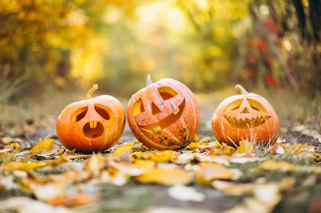 découvrez des idées créatives et originales pour célébrer halloween 2024 ! décorations, costumes, recettes de friandises et activités pour tous les âges, faites de cette fête un moment inoubliable. préparez-vous à frissonner de plaisir !
