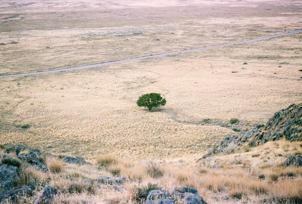 découvrez les impacts de la sécheresse, ses causes, et les solutions pour y faire face. informez-vous sur les conséquences environnementales et économiques de ce phénomène croissant.