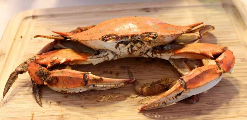 découvrez l'invasion des crabes bleus, leur impact sur l'écosystème marin et les mesures pour contrer leur prolifération. analysez les conséquences écologiques et économiques de cette espèce envahissante.