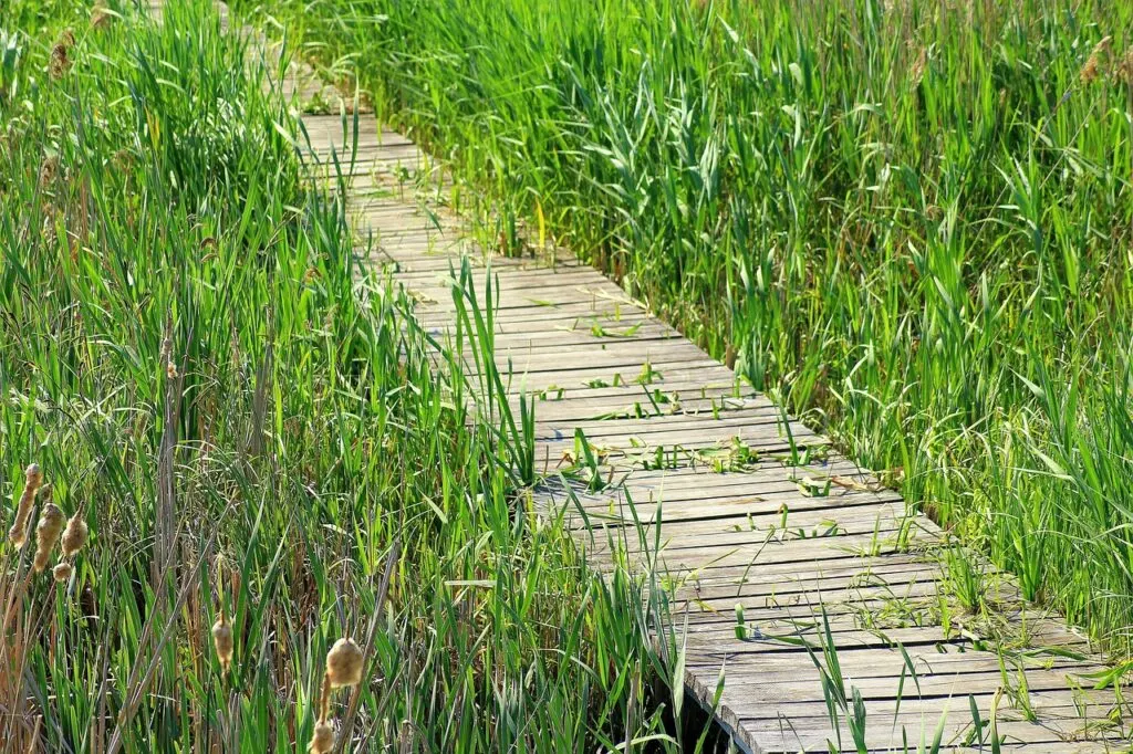découvrez l'univers des passerelles, ces structures innovantes alliant design et fonctionnalité. explorez les différents types de passerelles, leurs usages, et comment elles transforment les espaces urbains et naturels pour le confort des piétons.
