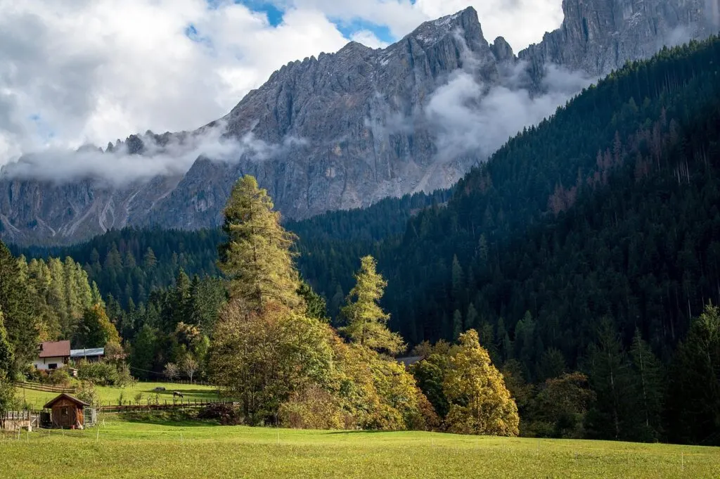découvrez le monde fascinant du tourisme et explorez des destinations inédites. que vous soyez amateur d'aventures, de culture ou de détente, trouvez l'inspiration pour votre prochain voyage et apprenez à voyager de manière responsable.