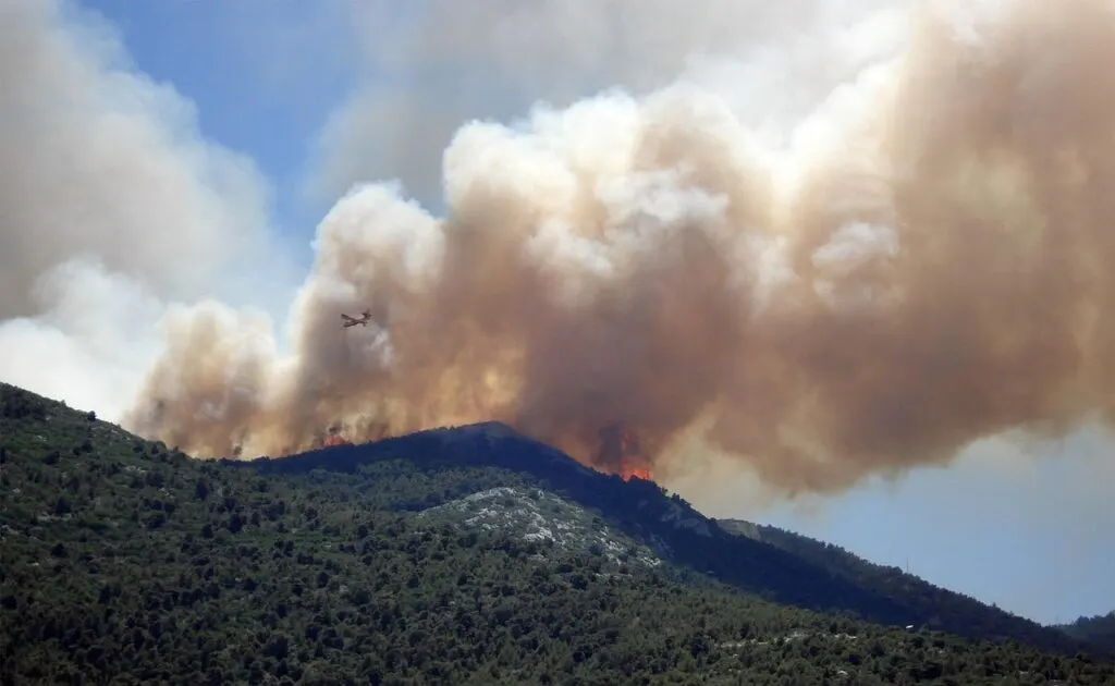 découvrez des stratégies efficaces pour prévenir les incendies de forêt et protéger notre environnement. informez-vous sur les meilleures pratiques, les opérations de sensibilisation et les technologies innovantes mises en place pour réduire les risques d'incendies.