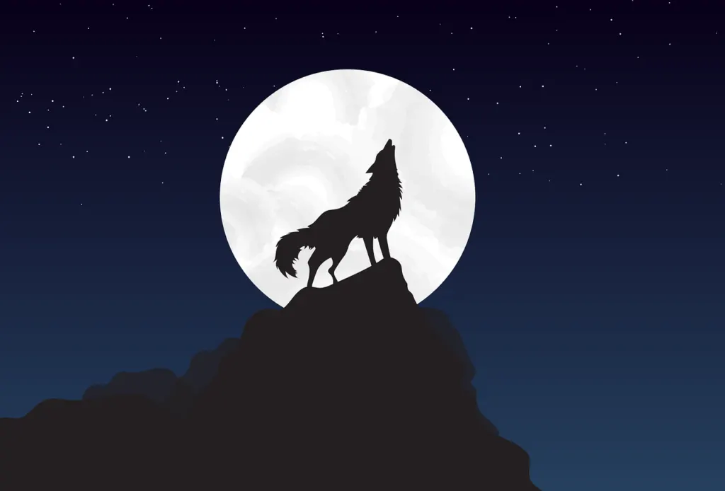 découvrez l'univers fascinant des loups : leur comportement, leur habitat, et leur rôle dans l'écosystème. plongez dans la vie sociale de ces créatures majestueuses et apprenez pourquoi ils sont à la fois admirés et mal compris.