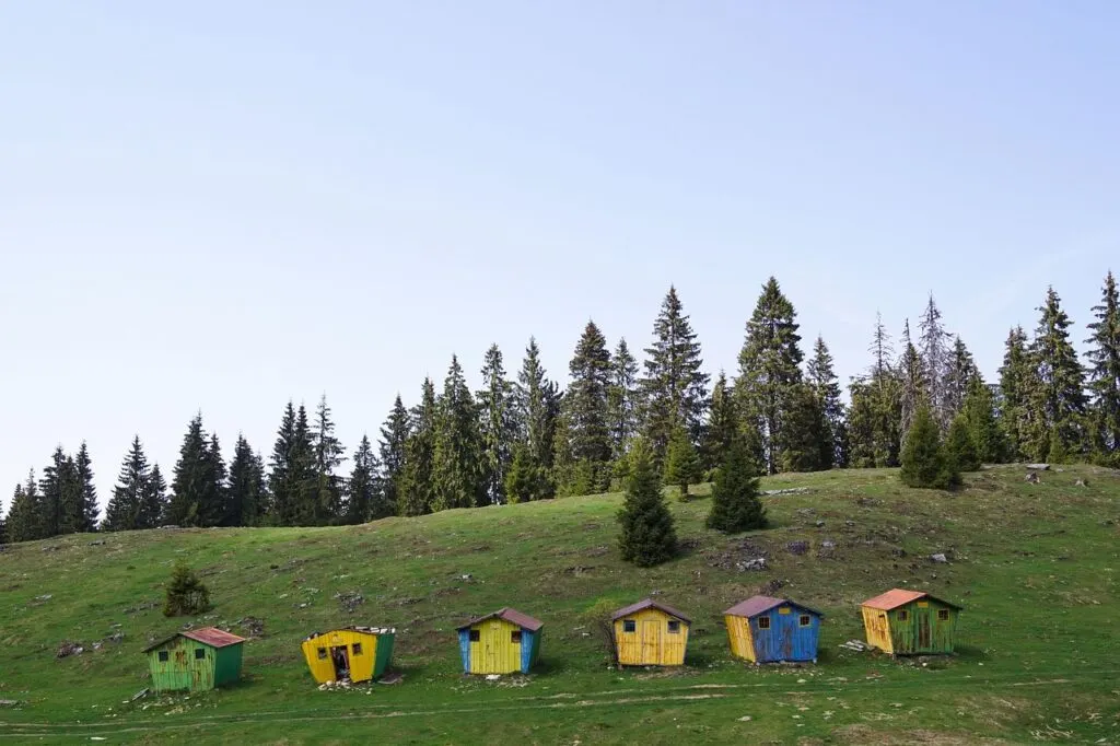 découvrez la cabanisation, un phénomène culturel et architectural où l'on transforme des espaces en cabanes accueillantes et fonctionnelles, alliant nature et créativité. explorez tes options pour personnaliser ton environnement tout en profitant des bienfaits d'un mode de vie proche de la nature.