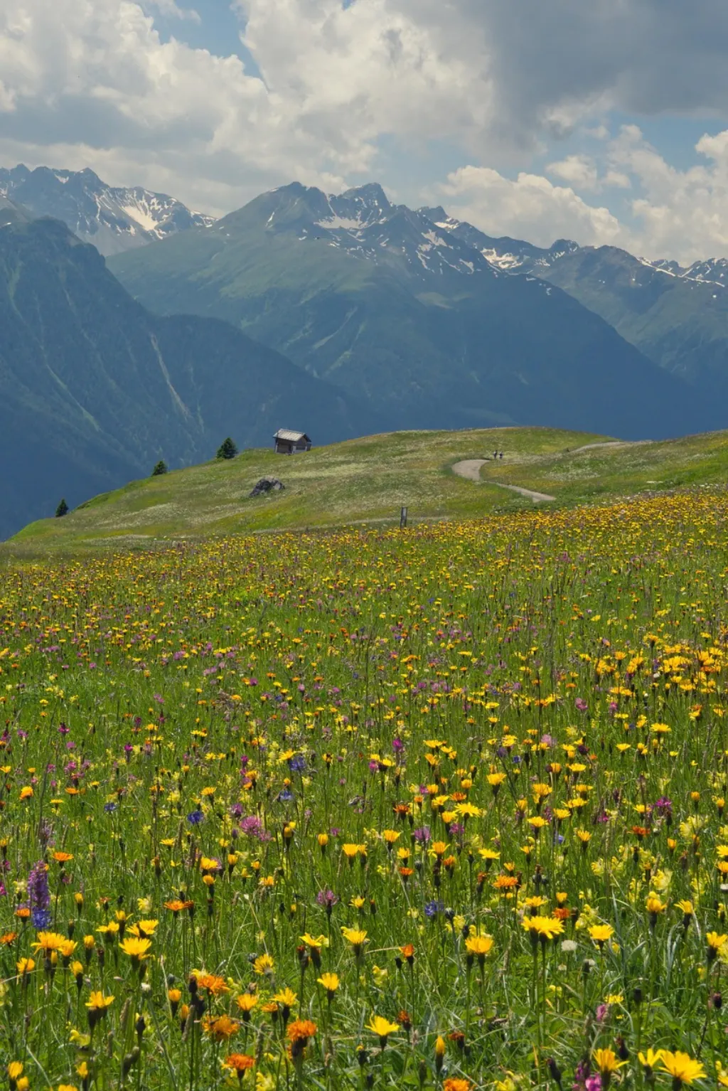 découvrez le concept de cabanisation, une approche innovante qui consiste à transformer des espaces en refuges naturels. apprenez comment cette méthode favorise le bien-être, la connexion à la nature et l'harmonie avec l'environnement. explorez les bienfaits de la cabanisation pour une vie plus simple et sereine.