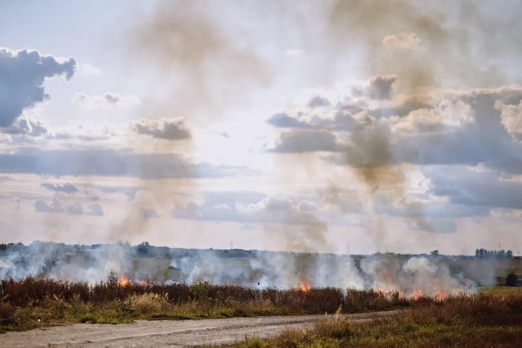 découvrez l'univers des pompiers, ces héros du quotidien qui risquent leur vie pour sauver celle des autres. apprenez-en davantage sur leur formation, leurs missions et leur engagement envers la sécurité de la communauté.
