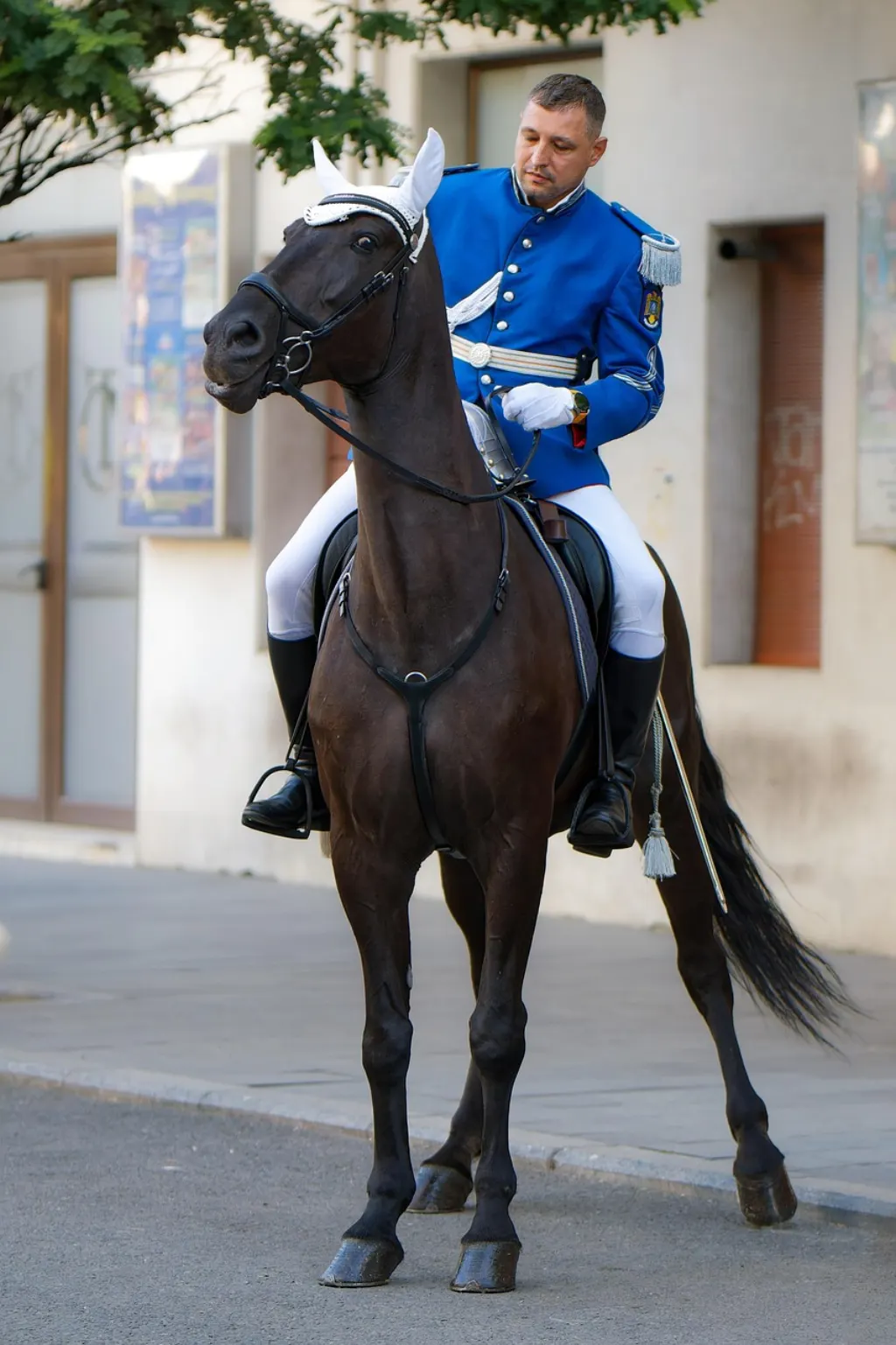 découvrez le rôle essentiel de la gendarmerie en france, son organisation, ses missions et son engagement pour garantir la sécurité de tous. informez-vous sur les services offerts et l'importance de cette institution dans la protection des citoyens et le maintien de l'ordre public.