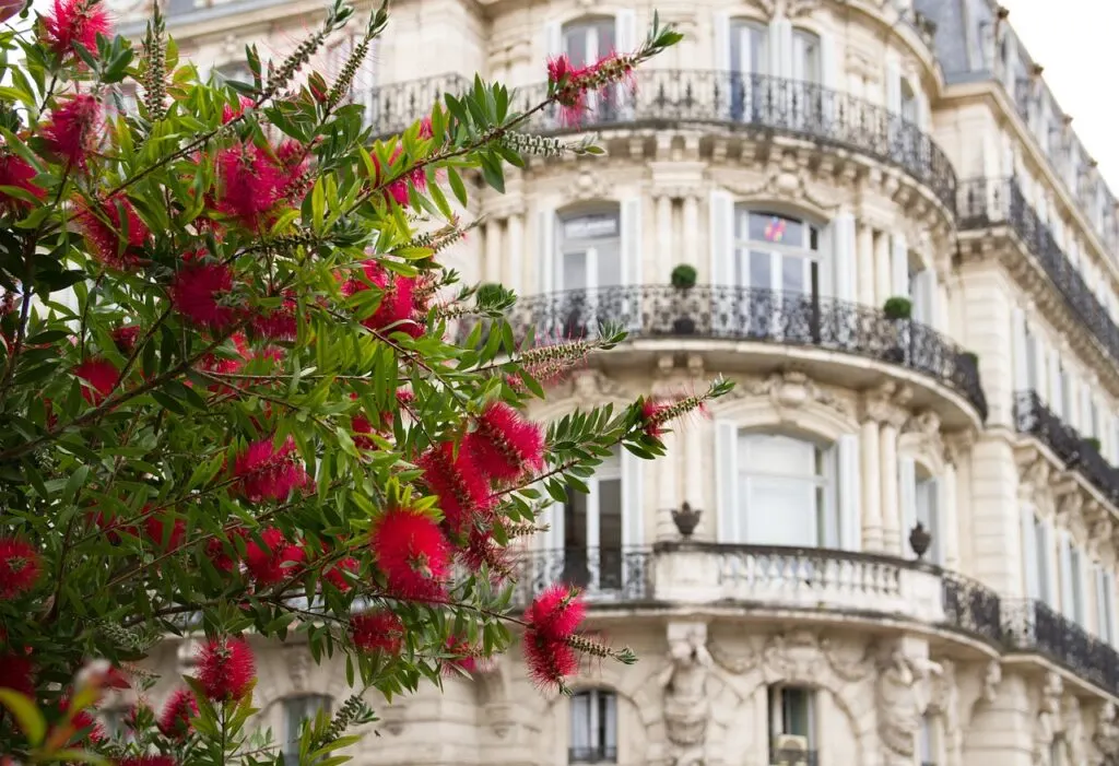 découvrez montpellier, une ville dynamique du sud de la france, célèbre pour son architecture historique, ses universitaires renommés et ses événements culturels. explorez ses rues ensoleillées, profitez de sa gastronomie locale et imprégnez-vous de l'atmosphère méditerranéenne.