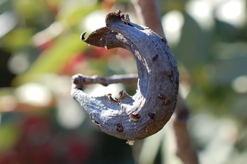 découvrez l'occitanie, une région riche en patrimoine culturel, paysages époustouflants et gourmets. explorez ses villes historiques, ses vignobles renommés et sa gastronomie unique. plongez dans l'art de vivre occitan et laissez-vous séduire par ses traditions.