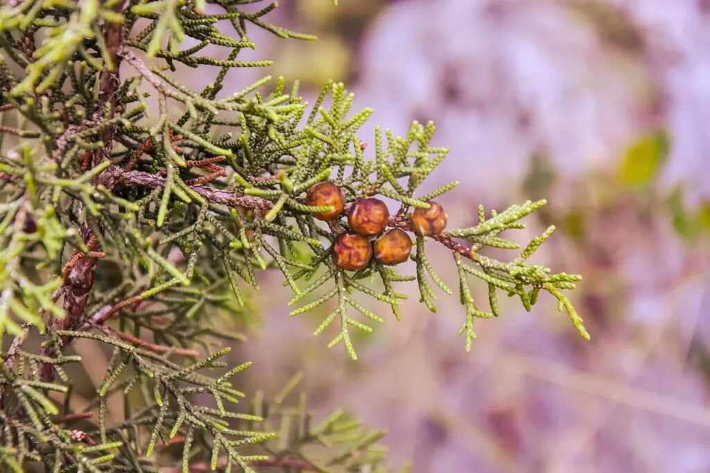découvrez l'occitanie, une région riche en histoire et en culture, située au cœur du sud de la france. plongez dans ses paysages variés, ses traditions vibrantes, sa gastronomie savoureuse et ses sites touristiques emblématiques. explorez les trésors cachés de cette vallée historique entre mer et montagne.