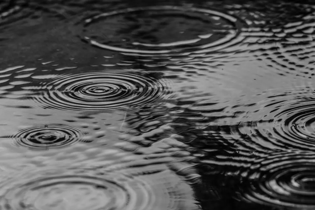 découvrez tout sur la pluie : son importance pour l'environnement, son rôle dans le cycle de l'eau et des astuces pour en profiter. apprenez à aimer les jours pluvieux grâce à nos conseils et informations sur ce phénomène naturel.