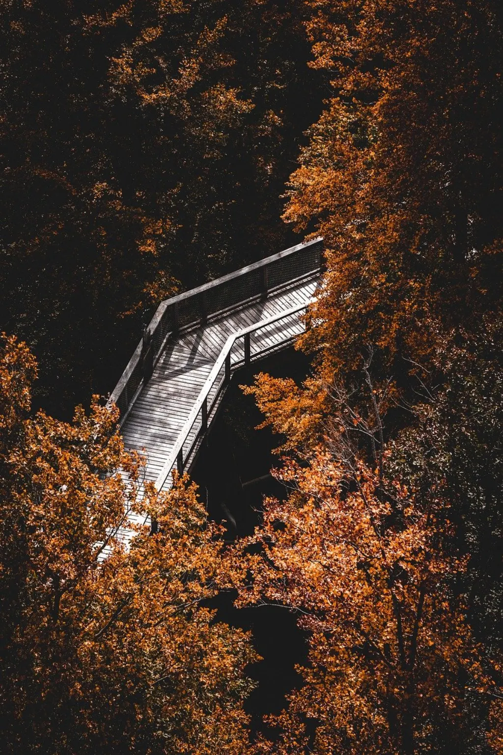 découvrez les meilleures randonnées de printemps à travers des paysages florissants et des sentiers pittoresques. profitez de la nature en pleine effervescence et explorez des destinations uniques pour vos escapades en plein air.