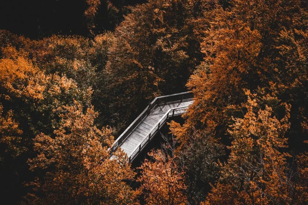 découvrez des randonnées printanières inoubliables, où la nature s'éveille et les paysages se parent de couleurs éclatantes. parfaites pour les amateurs de plein air, ces promenades vous permettront d'explorer des sentiers pittoresques et de profiter d'un air frais. préparez-vous pour l'aventure au cœur des douleurs!