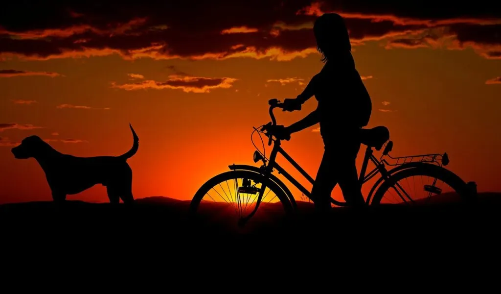 découvrez des promenades inoubliables au coucher du soleil, où la magie des couleurs et la sérénité de la nature se rencontrent. laissez-vous emporter par la beauté des paysages et la douceur du crépuscule.