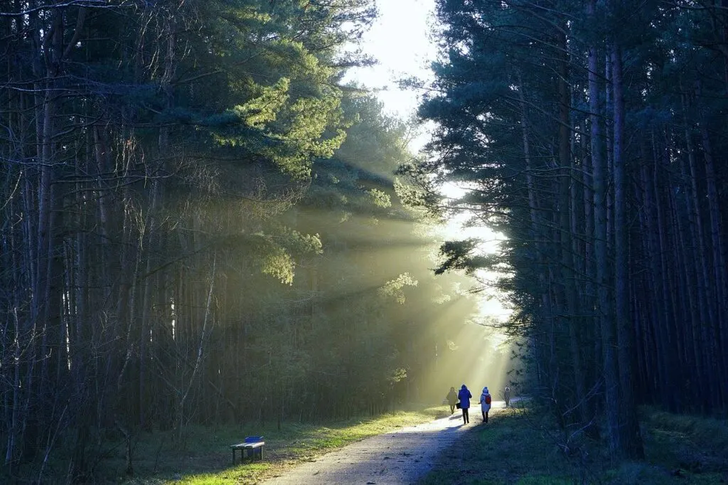 découvrez des promenades magiques au coucher du soleil, où la beauté des paysages s'illumine à la tombée de la nuit. profitez de moments de sérénité et de connexion avec la nature lors de ces balades inoubliables.