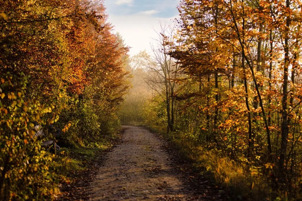 découvrez l'univers passionnant du trail, une activité de course en pleine nature qui allie aventure, endurance et évasion. idéal pour les amoureux des grands espaces, le trail vous invite à explorer des paysages variés tout en repoussant vos limites.