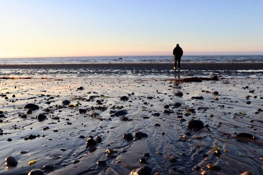 découvrez des promenades insolites qui vous mèneront hors des sentiers battus. explorez des paysages uniques et vivez des expériences inoubliables à chaque pas.