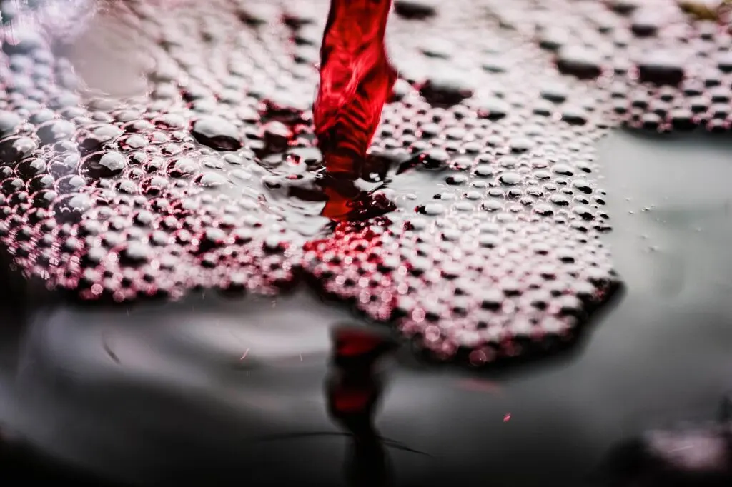 découvrez le monde fascinant du vin : vins rouges, blancs et rosés, conseils de dégustation, accords mets-vins et tout ce qu'il faut savoir pour apprécier chaque gorgée.