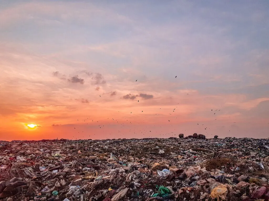 découvrez l'impact de la pollution urinaire sur notre environnement et notre santé. apprenez à reconnaître ses sources, ses effets et les solutions pour réduire cette forme de contamination. informez-vous sur l'importance d'une gestion responsable des déchets et participez à la préservation de notre écosystème.