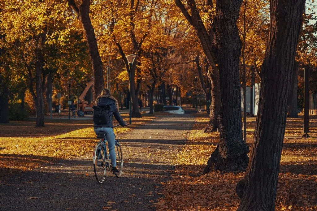 découvrez une variété d'activités passionnantes qui éveilleront votre curiosité et rempliront vos journées de plaisir. que vous soyez en quête d'aventures en plein air, d'ateliers créatifs ou de moments de détente, notre sélection d'activités saura répondre à toutes vos envies. rejoignez-nous pour explorer de nouvelles expériences inoubliables!