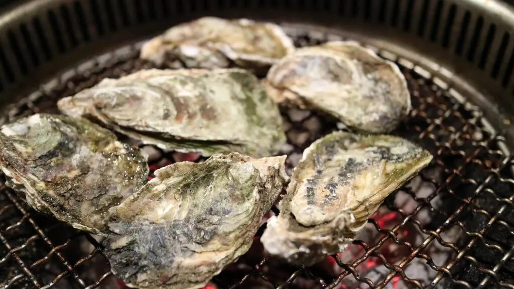 découvrez l'univers savoureux des huîtres : des variétés délicieuses, des conseils de dégustation et les bienfaits de ce fruit de mer exceptionnel.