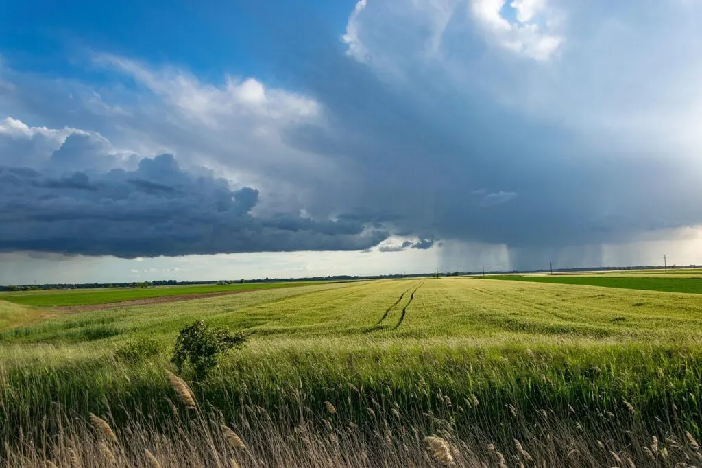 découvrez tout sur les tempêtes : leurs causes, leurs types, et leurs impacts sur l'environnement et la vie quotidienne. apprenez à vous préparer et à réagir face à ces phénomènes naturels impressionnants.