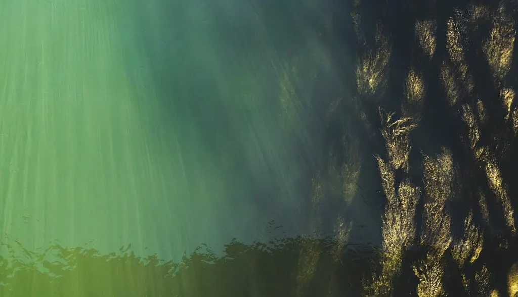 découvrez les niveaux d'eau et leur impact sur l'environnement, l'agriculture et les écosystèmes. restez informé des fluctuations saisonnières et des tendances globales liées à l'eau.