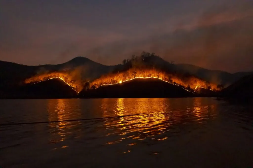 découvrez comment les incendies de forêt affectent l'environnement et les écosystèmes. apprenez les causes, les conséquences et les stratégies de prévention pour protéger notre planète des risques croissants liés aux incendies.