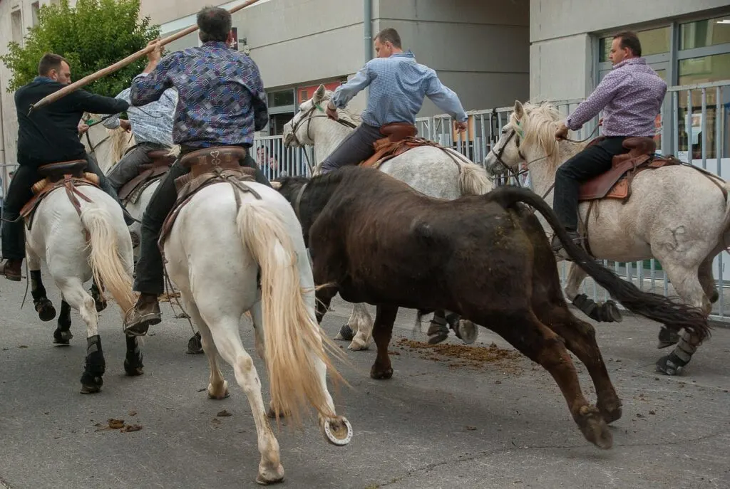 découvrez la feria : une fête traditionnelle haute en couleur mêlant fête populaire, corridas, musique et animations, idéale pour vivre une expérience conviviale et authentique dans le sud de la france.