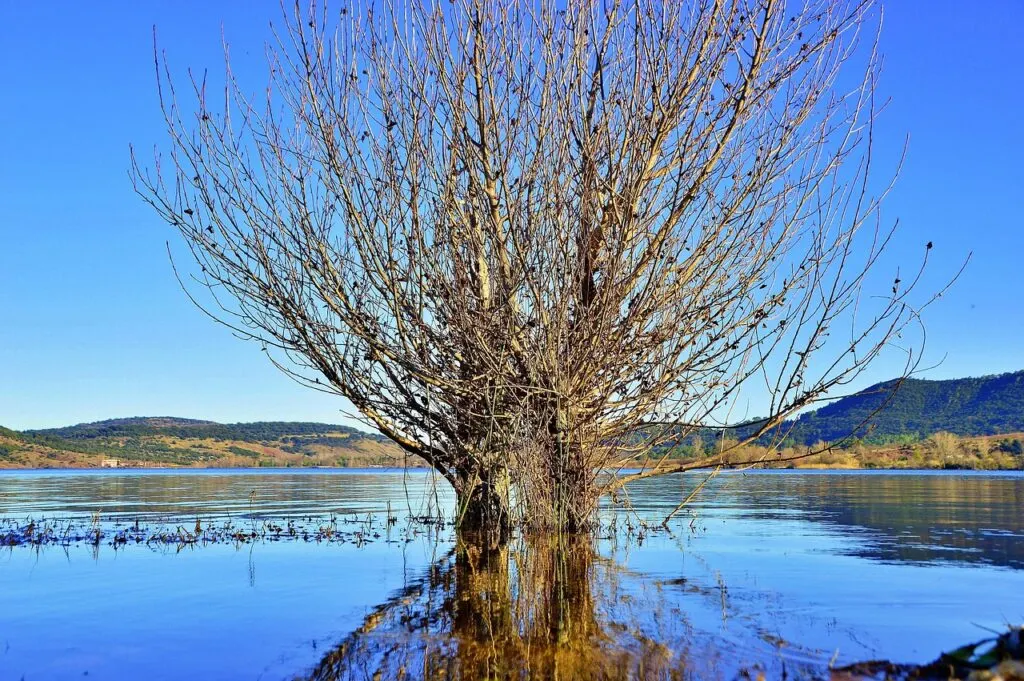 découvrez l'hérault, une région riche en patrimoine, paysages magnifiques et activités variées. explorez ses plages ensoleillées, ses vignobles prestigieux et ses villages pittoresques. une destination idéale pour les amateurs de nature et de culture.