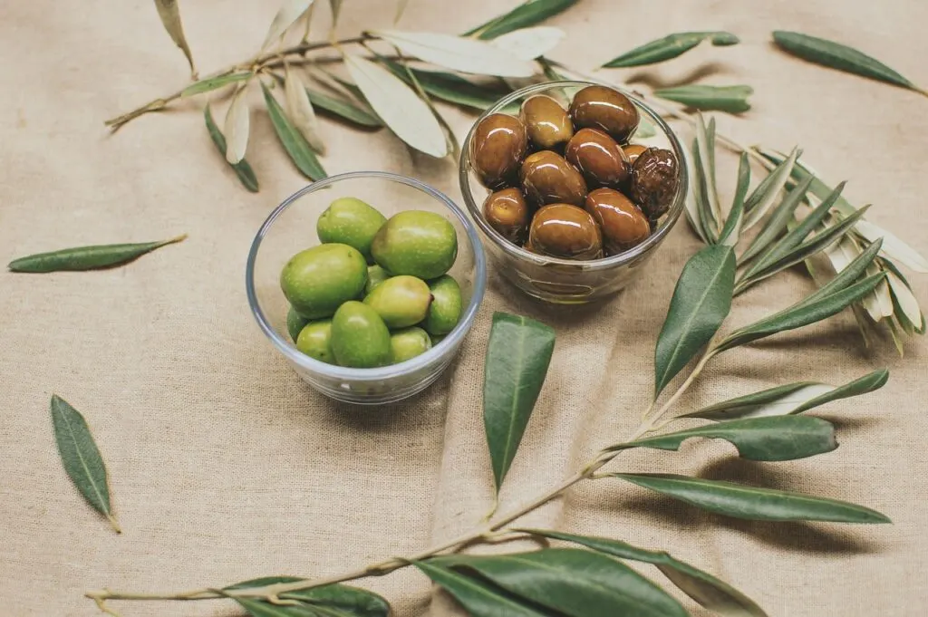 découvrez la beauté envoûtante de la méditerranée : ses plages idylliques, sa gastronomie savoureuse et ses cultures riches. plongez dans un voyage inoubliable au cœur des paysages luxuriants et des traditions séculaires.