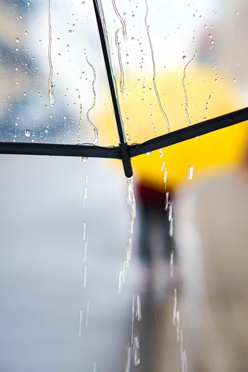 découvrez les prévisions météo détaillées pour votre région : températures, précipitations, vent et indices météo actualisés en temps réel. restez informé sur la météo de la semaine !