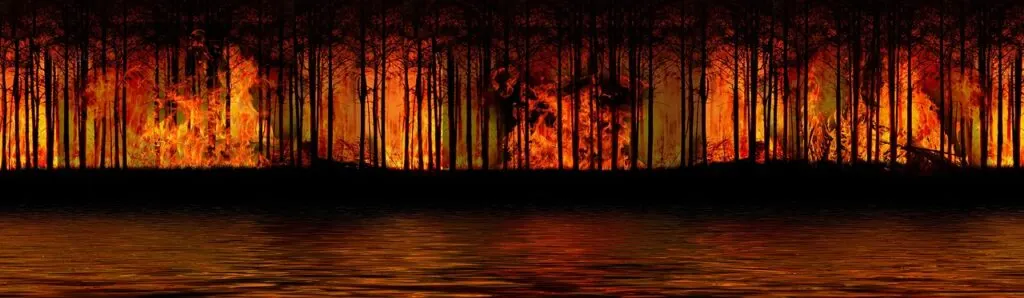 découvrez l'impact des incendies de forêt sur l'environnement, la faune et les communautés humaines. informez-vous sur les causes, les conséquences et les mesures de prévention pour protéger notre planète.
