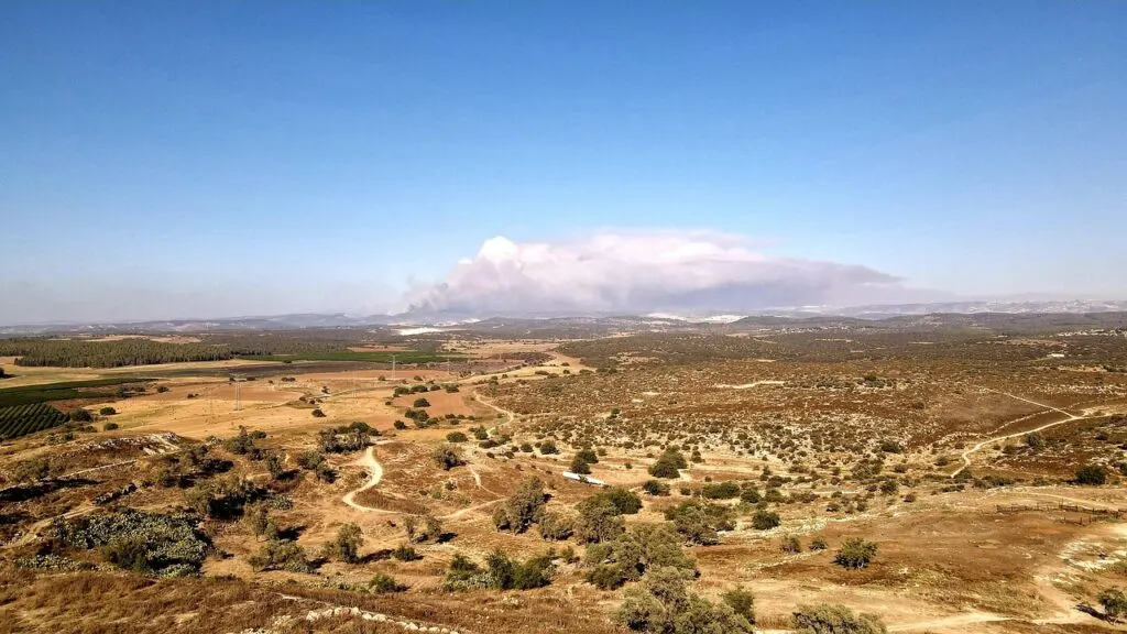 découvrez l'impact dévastateur des incendies de forêt sur l'environnement et les communautés. apprenez comment prévenir ces catastrophes et les mesures à prendre pour protéger notre planète.