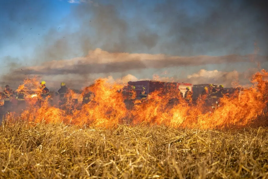 découvrez l'impact dévastateur des incendies de forêt sur l'environnement et la biodiversité. apprenez des stratégies de prévention et des efforts de lutte contre ces catastrophes naturelles qui menacent nos écosystèmes et nos communautés.