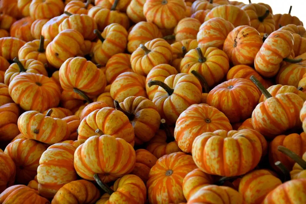 découvrez tout sur halloween : son histoire, traditions, idées de déguisements, décorations originales et recettes effrayantes pour célébrer cette fête incontournable.