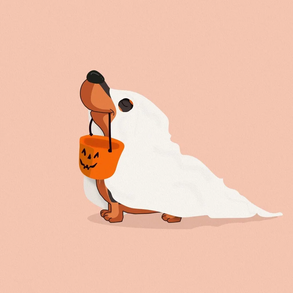 découvrez l'origine et les traditions d'halloween, fête populaire célébrée le 31 octobre. conseils, idées de costumes et décoration pour une soirée inoubliable !