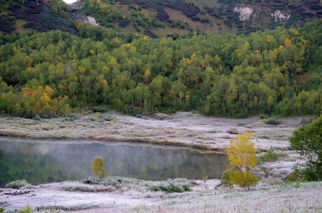 découvrez comment une vague de froid précoce affecte le climat et préparez-vous aux températures hivernales inattendues.