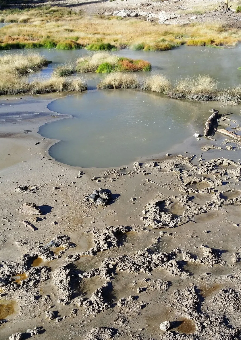 découvrez les merveilles naturelles du parc géologique, un site unique offrant des paysages spectaculaires, des formations rocheuses impressionnantes et une richesse scientifique fascinante.