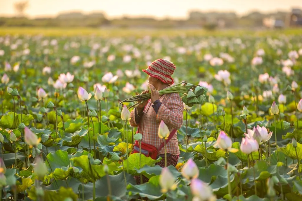 découvrez les enjeux et les impacts de la protestation des agriculteurs à travers le monde, ainsi que leurs revendications et les réactions politiques.