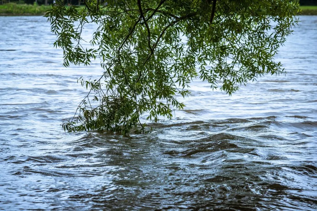 informations essentielles sur les inondations : causes, impacts, prévention et conseils de sécurité pour protéger vos biens et votre famille.
