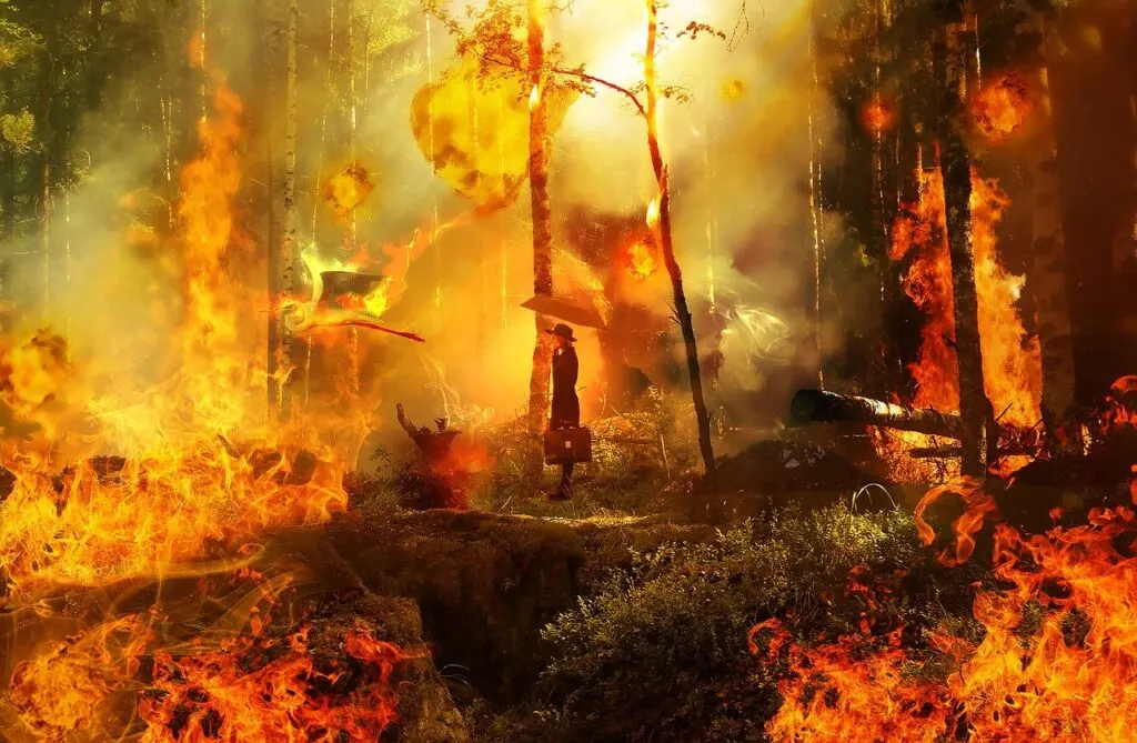 découvrez nos conseils et stratégies efficaces pour la prévention des incendies de forêt et protégez notre environnement naturel.
