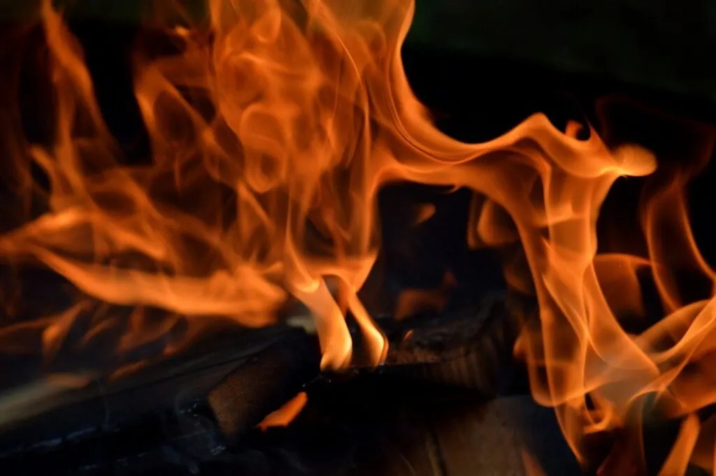 découvrez des conseils efficaces et des stratégies essentielles pour la prévention des incendies de forêt, afin de protéger les écosystèmes et garantir la sécurité des communautés.