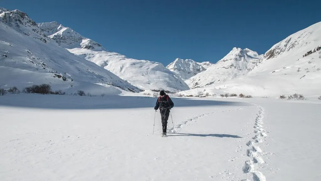 découvrez tout ce qu'il faut savoir sur l'hiker : conseils, équipements et itinéraires pour passionnés de randonnée.