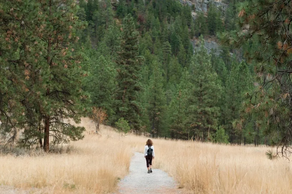 découvrez tout sur les randonneurs : conseils, équipements essentiels et meilleures destinations pour des aventures en pleine nature réussies.