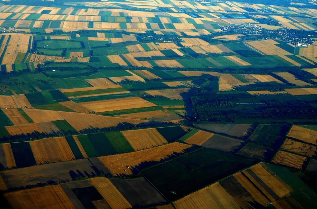 découvrez notre sélection de parcelles de terrain adaptées à tous vos projets immobiliers et agricoles. trouvez la parcelle idéale dès aujourd'hui.